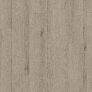 Shaw Natural Beginnings SPC Mushroom Grey 3554V-05223