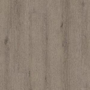 Shaw Natural Beginnings SPC Pebble Grey 3554V-05225