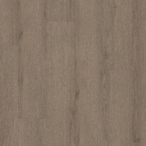 Shaw Natural Beginnings SPC Smoky Taupe 3554V-07315