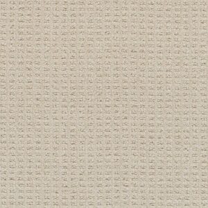 Dreamweaver Carpet Perfect Balance Joyous Carpet 3585_2069