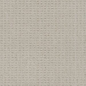 Dreamweaver Carpet Perfect Balance Pearly Lace Carpet 3585_2233