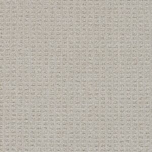 Dreamweaver Carpet Perfect Balance Cascades Carpet 3585_2387