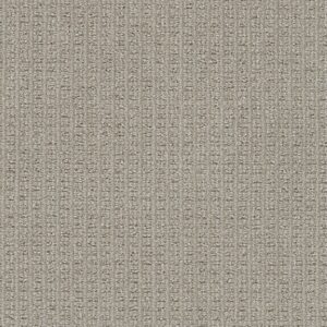 Dreamweaver Carpet Perfect Balance Regal Carpet 3585_2390