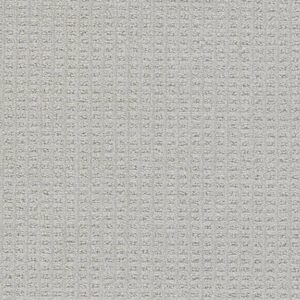 Dreamweaver Carpet Perfect Balance Tranquil Carpet 3585_2452