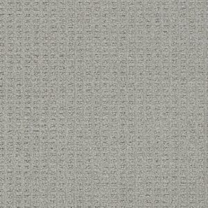 Dreamweaver Carpet Perfect Balance Sapphire Carpet 3585_2527