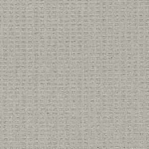 Dreamweaver Carpet Perfect Balance Del Mar Carpet 3585_2561