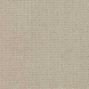 Dreamweaver Carpet Perfect Balance Light Wheat Carpet 3585_2586