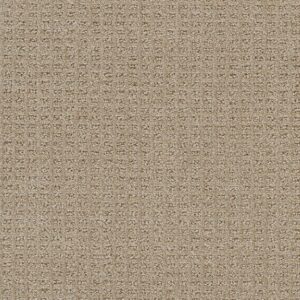 Dreamweaver Carpet Perfect Balance Sand Dance Carpet 3585_2604