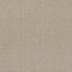 Dreamweaver Carpet Perfect Balance Papaya Carpet 3585_2655