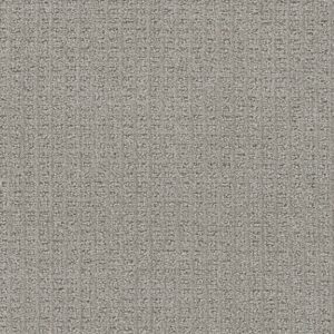 Dreamweaver Carpet Perfect Balance Lodgestone Carpet 3585_2700
