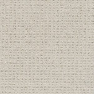 Dreamweaver Carpet Perfect Balance Wishful Carpet 3585_2723