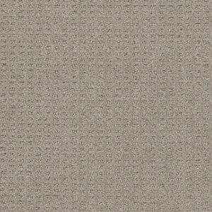 Dreamweaver Carpet Perfect Balance Warm Putty Carpet 3585_2732