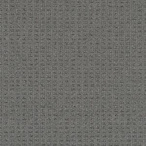 Dreamweaver Carpet Perfect Balance Moon Stone Carpet 3585_2944
