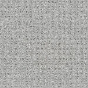 Dreamweaver Carpet Perfect Balance Haven Carpet 3585_2982