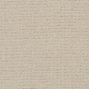 Dreamweaver Carpet Natural Attraction Joyous Carpet 3590_2069