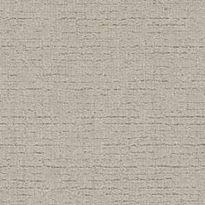 Dreamweaver Carpet Natural Attraction Pearly Lace Carpet 3590_2233