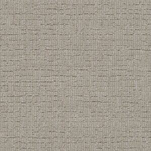 Dreamweaver Carpet Natural Attraction Regal Carpet 3590_2390