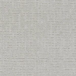 Dreamweaver Carpet Natural Attraction Tranquil Carpet 3590_2452