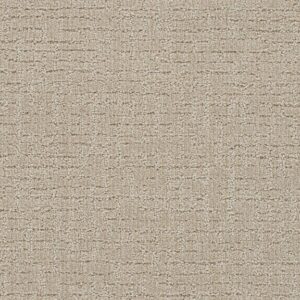 Dreamweaver Carpet Natural Attraction Light Wheat Carpet 3590_2586