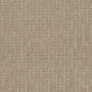 Dreamweaver Carpet Natural Attraction Sand Dance Carpet 3590_2604