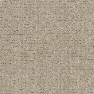 Dreamweaver Carpet Natural Attraction Papaya Carpet 3590_2655