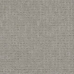 Dreamweaver Carpet Natural Attraction Lodgestone Carpet 3590_2700