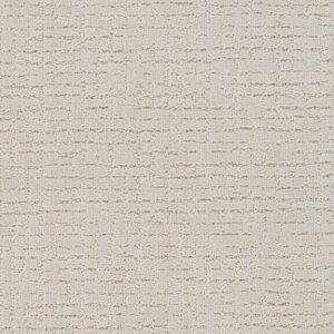 Dreamweaver Carpet Natural Attraction Wishful Carpet 3590_2723