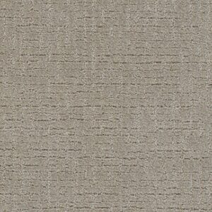 Dreamweaver Carpet Natural Attraction Warm Putty Carpet 3590_2732
