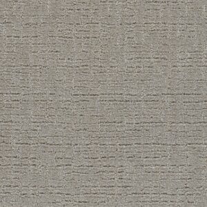 Dreamweaver Carpet Natural Attraction Ravishing Carpet 3590_2867
