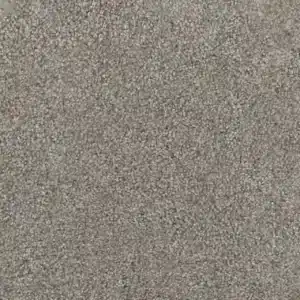 Dreamweaver Carpet Trendsetter I Crystal Clear Carpet 3640_302