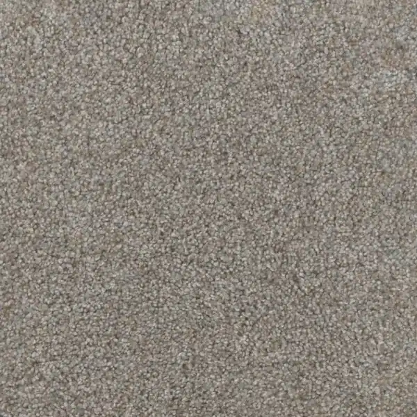 Dreamweaver Carpet Trendsetter I Crystal Clear Carpet 3640_302