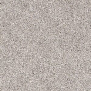 Dreamweaver Carpet Trendsetter I Antique Cameo Carpet 3640_386