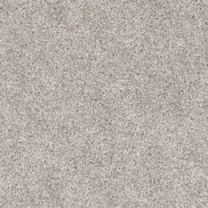 Dreamweaver Carpet Trendsetter II Antique Cameo Carpet 3655_386