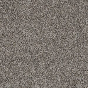 Dreamweaver Carpet Trendsetter I Luna Pearl Carpet 3640_399