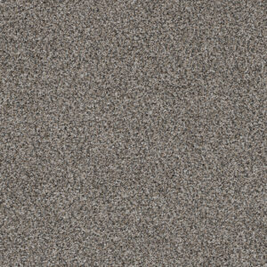 Dreamweaver Carpet Trendsetter II Luna Pearl Carpet 3655_399
