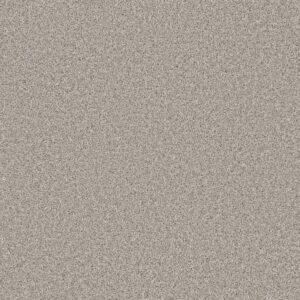 Dreamweaver Carpet Trendsetter I Porcelain Carpet 3640_486