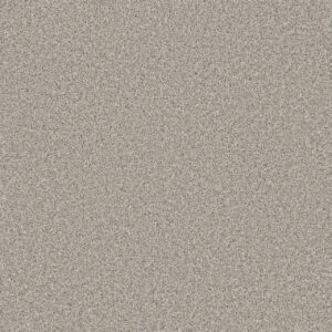 Dreamweaver Carpet Trendsetter II Porcelain Carpet 3655_486