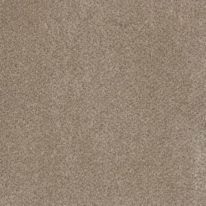 Dreamweaver Carpet Trendsetter I Oxford Carpet 3640_720