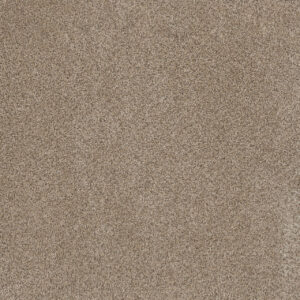 Dreamweaver Carpet Trendsetter II Oxford Carpet 3655_720