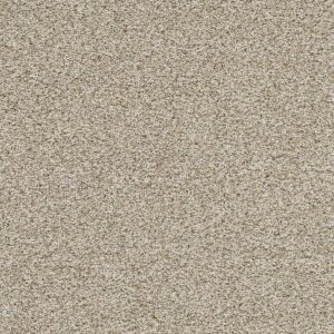 Dreamweaver Carpet Trendsetter I Seashells Carpet 3640_758