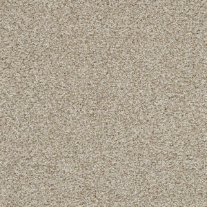Dreamweaver Carpet Trendsetter II Seashells Carpet 3655_758