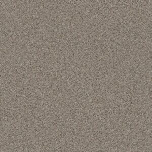 Dreamweaver Carpet Trendsetter I Iron Frost Carpet 3640_815