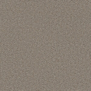 Dreamweaver Carpet Trendsetter II Iron Frost Carpet 3655_815