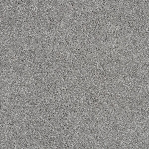 Dreamweaver Carpet Trendsetter II Moonstone Carpet 3655_903
