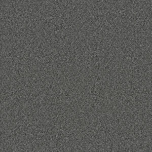 Dreamweaver Carpet Trendsetter II Zinc Carpet 3655_959