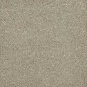 Dreamweaver Carpet Luxor III Dove Carpet 7760_800