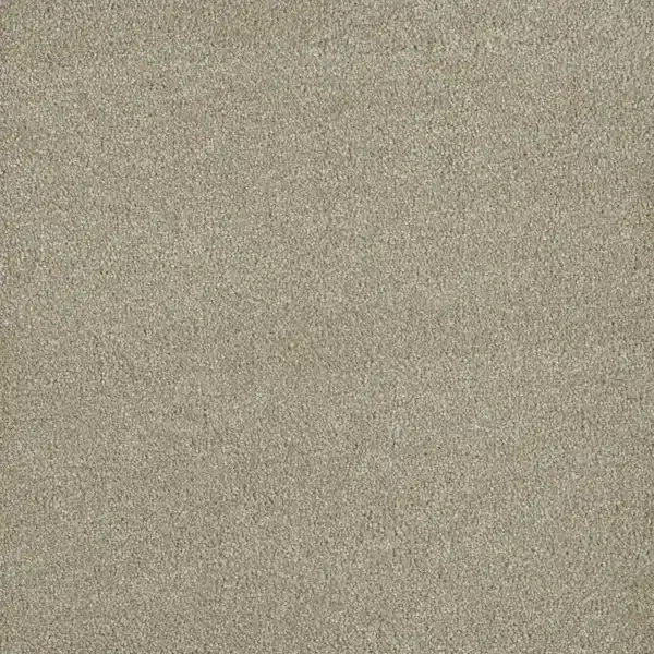 Dreamweaver Carpet Luxor III Dove Carpet 7760_800