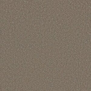 Dreamweaver Carpet Malibu I Oyster Shoal Carpet 3740_912