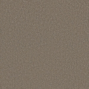 Dreamweaver Carpet Malibu II Oyster Shoal Carpet 3750_912