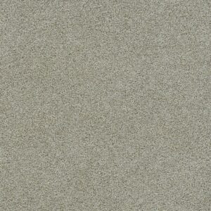 Dreamweaver Carpet Morning Glory III French Silk Carpet 3990_2194